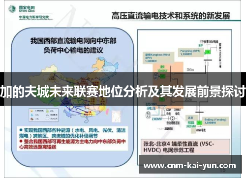 加的夫城未来联赛地位分析及其发展前景探讨